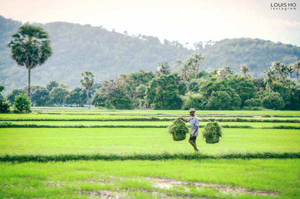 Du Lịch Miền Tây 2 Ngày (Mk2)