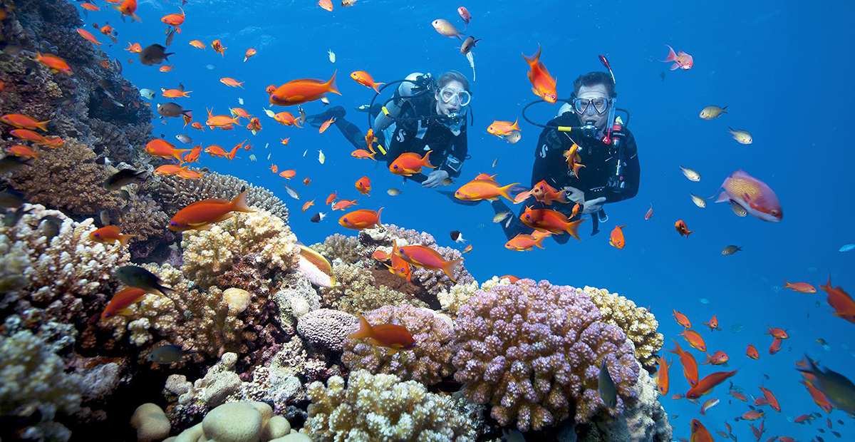 Kinh nghiệm lặn biển ngắm san hô ở đảo Phú Quốc * Du lịch TNBTravel