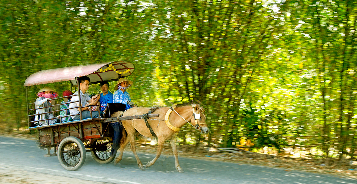 Xe ngựa là phương tiện di chuyển thú vị mang đến nhiều trải nghiệm mới lạ cho khách du lịch