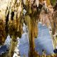 Động Cốc San – quần thể hang động và thác đẹp nhất SaPa